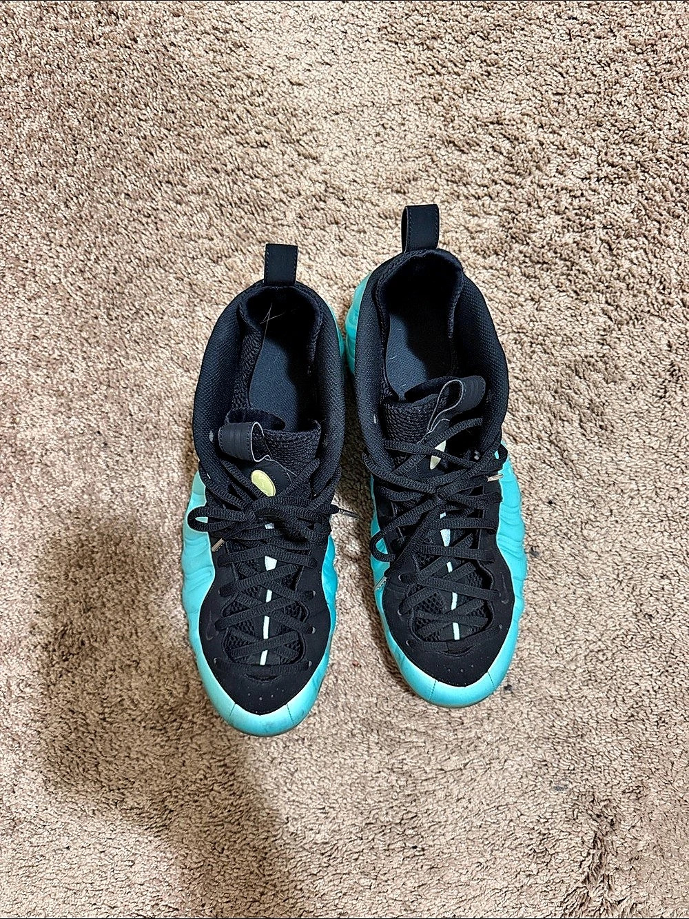 Nike Air Foamposite Pro Island Green Black & Blue Sneakers